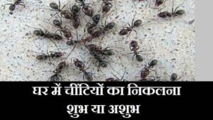 घर में चींटियाँ निकलना शुभ या अशुभ