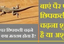 बाएं पैर पर छिपकली चढ़ना शुभ है या अशुभ