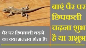 बाएं पैर पर छिपकली चढ़ना शुभ है या अशुभ
