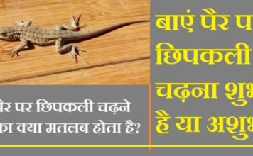 बाएं पैर पर छिपकली चढ़ना शुभ है या अशुभ