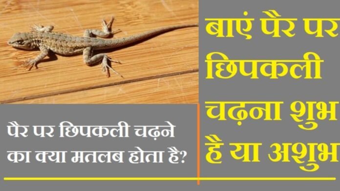 बाएं पैर पर छिपकली चढ़ना शुभ है या अशुभ