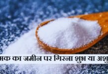 नमक का जमीन पर गिरना शुभ या अशुभ