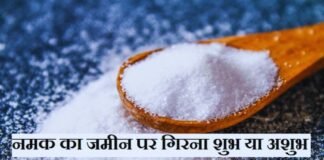 नमक का जमीन पर गिरना शुभ या अशुभ
