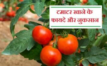 टमाटर खाने के फायदे और नुकसान