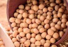 Benefits of Soyabean