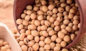 Benefits of Soyabean